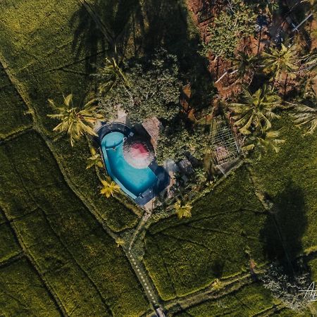 סיגירייה Nelu Resort מראה חיצוני תמונה