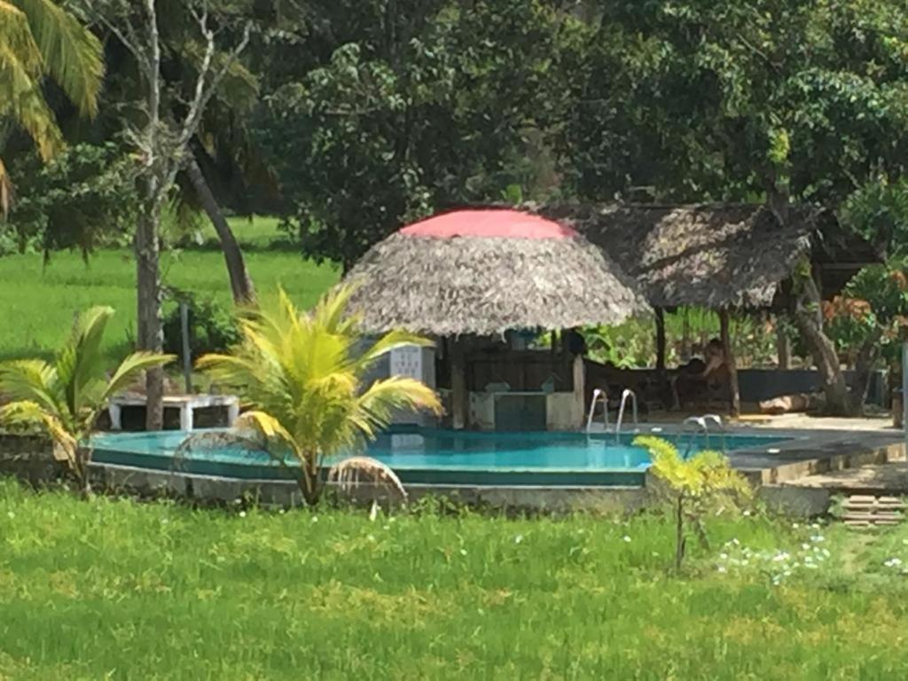 סיגירייה Nelu Resort מראה חיצוני תמונה