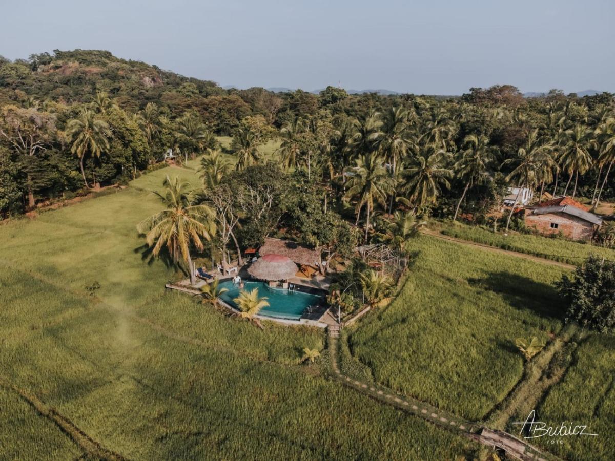 סיגירייה Nelu Resort מראה חיצוני תמונה