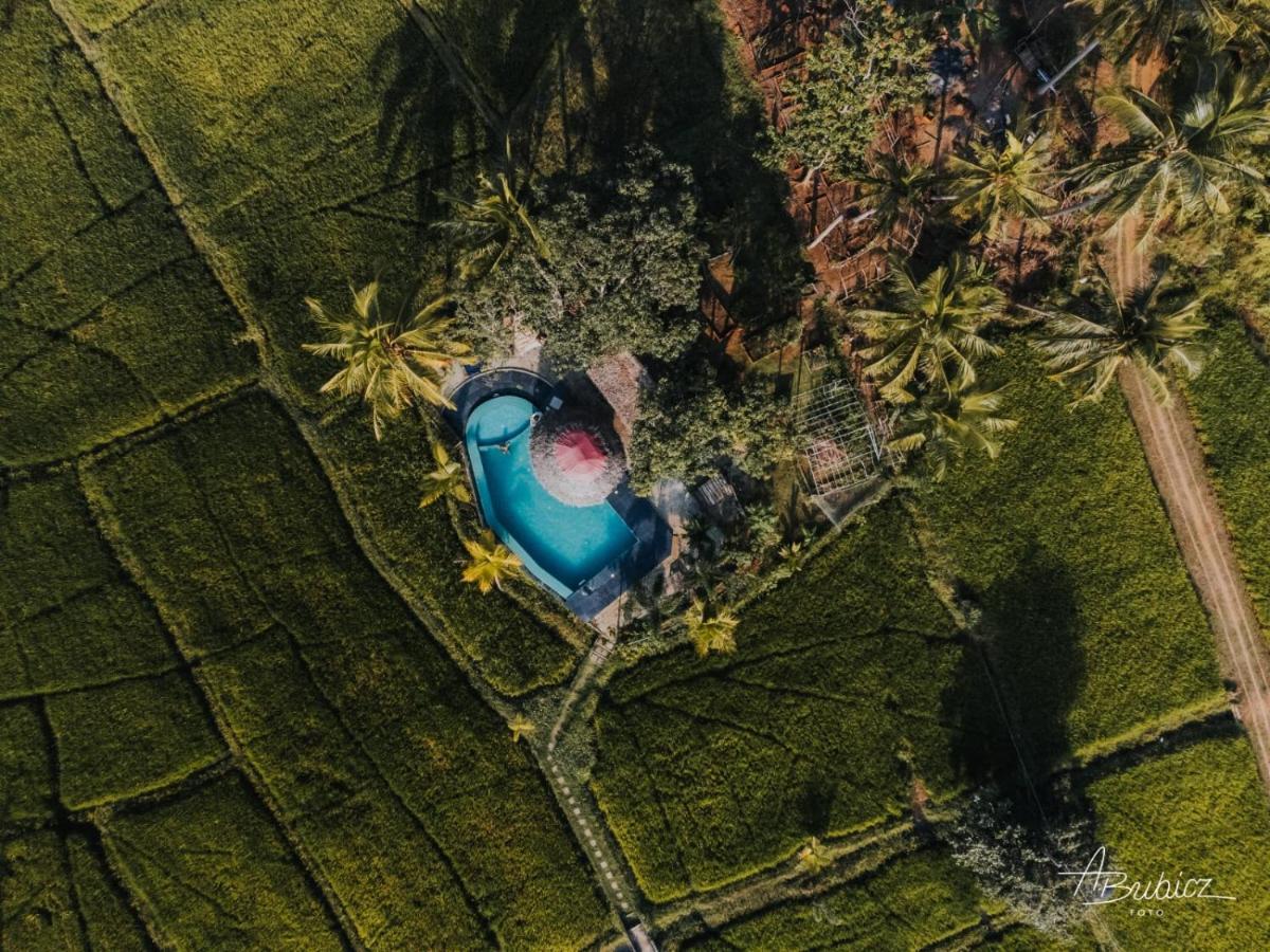 סיגירייה Nelu Resort מראה חיצוני תמונה